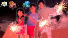 Ryan Does FireWorks for New Year with family!