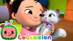 CeCe Had a Little Cat | CoComelon Nursery Rhymes & Kids Songs