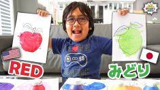 Learn Japanese for kids basic words with Ryan’s World!