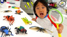 Ryan’s Bug Catching Pretend Play and Learn Insect Facts for kids
